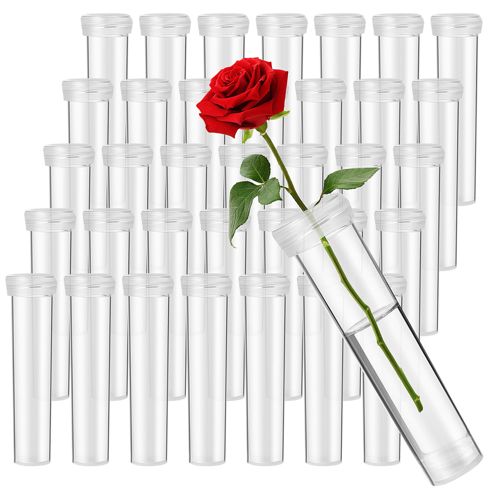 100개 꽃 물 공급 튜브 신선한 영양 공급 튜브 범용 - Florist Flower Supply 리뷰 및 가격